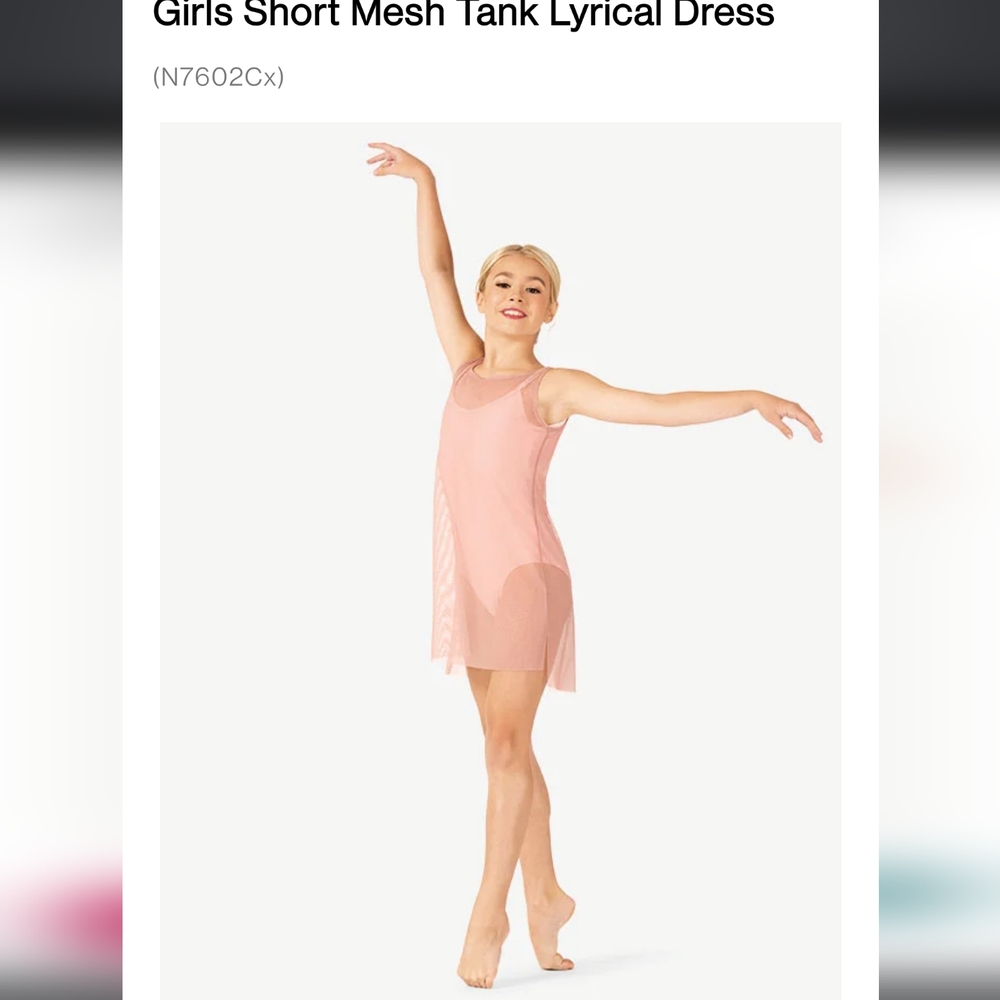 Rose Mesh Tank Dance Dress Multiple Sizes